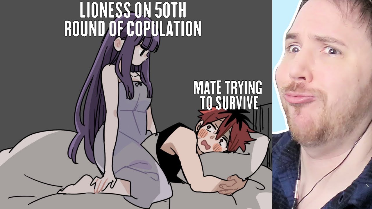 A LIONESS DOMINATING A POOR LION - Lost Pause Reddit