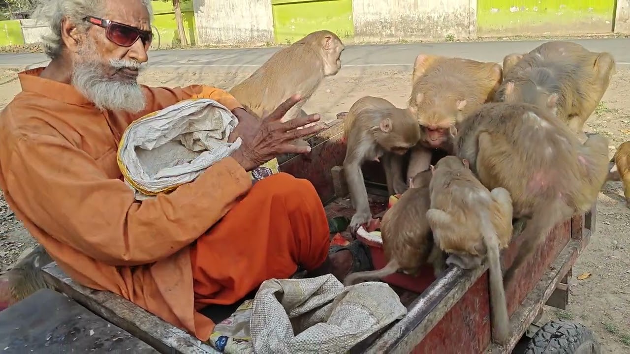 Mha dani Tiwari ji se sikho hnuman bhkti