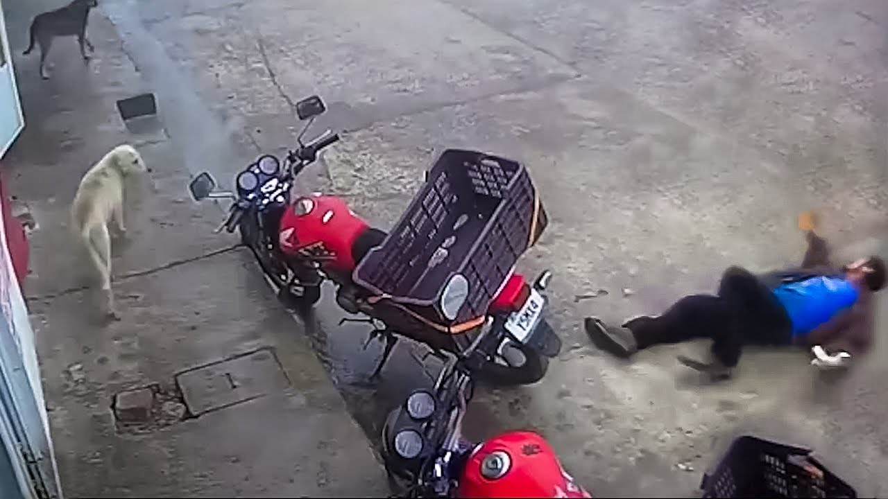 Instant Justice !