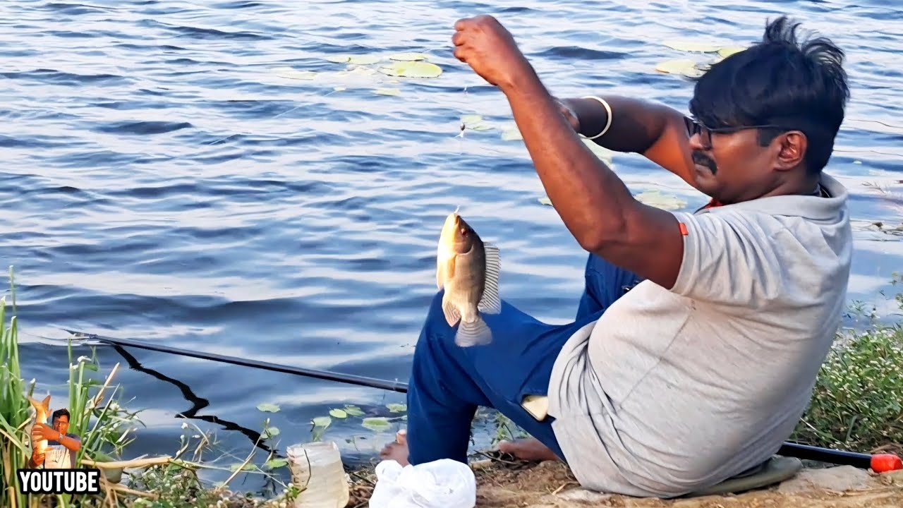 💥Awesome fishing for 13.5 ft Pole Rod/அருமையான POLE ROD-ல் தரமான பெரிய ஜிலேபி வேட்டை/110🎣👍💯