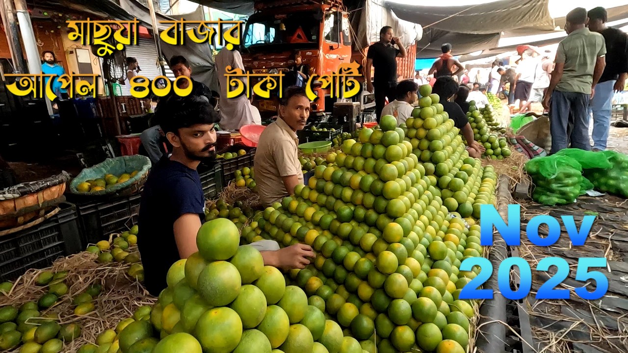 মাচুয়া হোলসেল ফলের বাজার নভেম্বর ২০২৫ | Live Fruit Price | Start Fruit Business in Kolkata