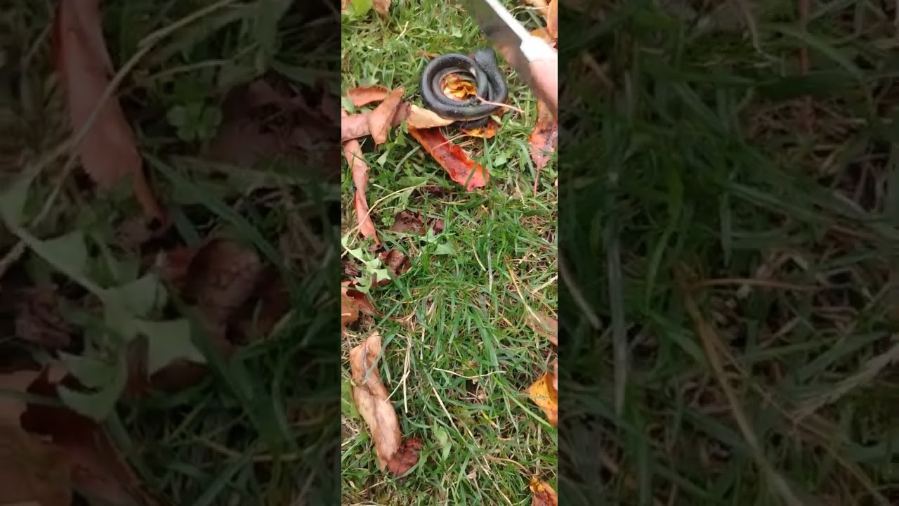 Tăierea satanei de la cap la coadă. Am tăiat toate magiile făcute pe tot ce este al nostru 🙏🙏🙏