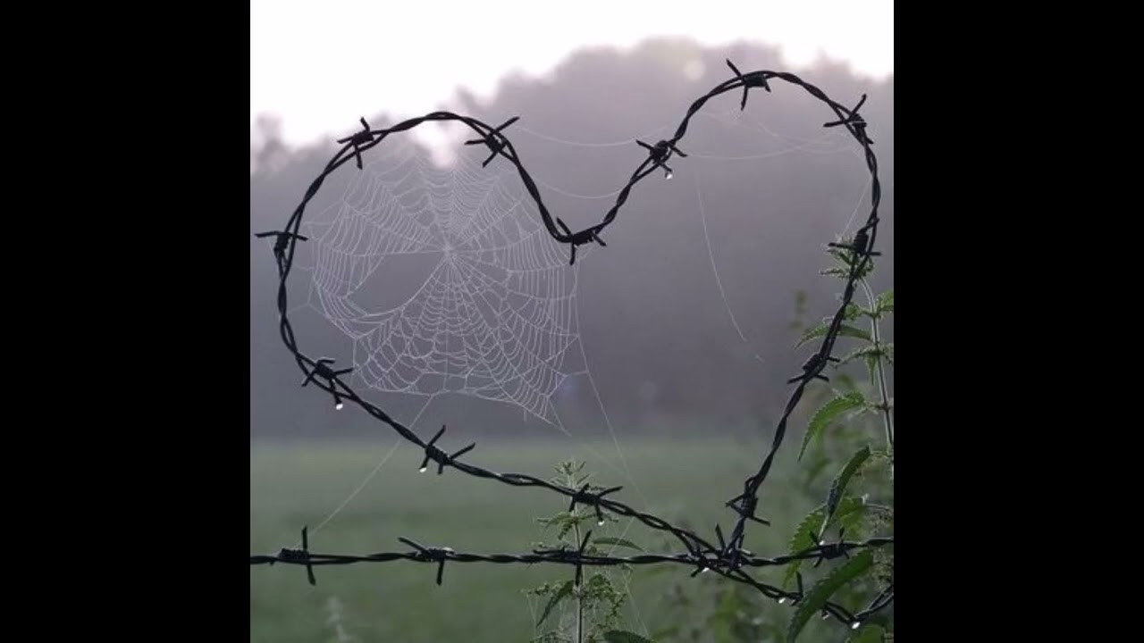 [FREE] Midwxst, Juno, Hyperpop Guitar Type Beat 'lockheart' prod. yunny goldz
