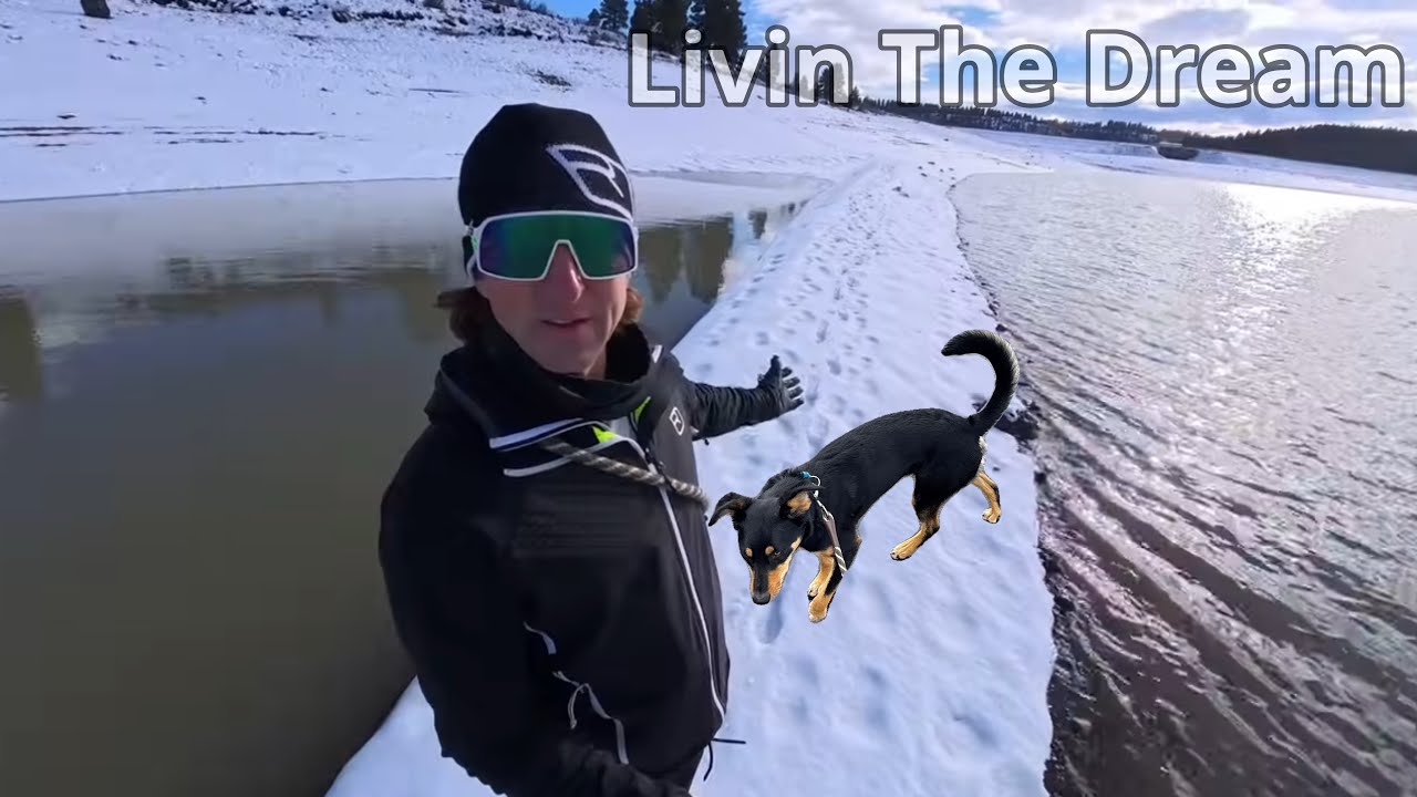 Doggy Paradise: A Day in the Life at Lake Tahoe