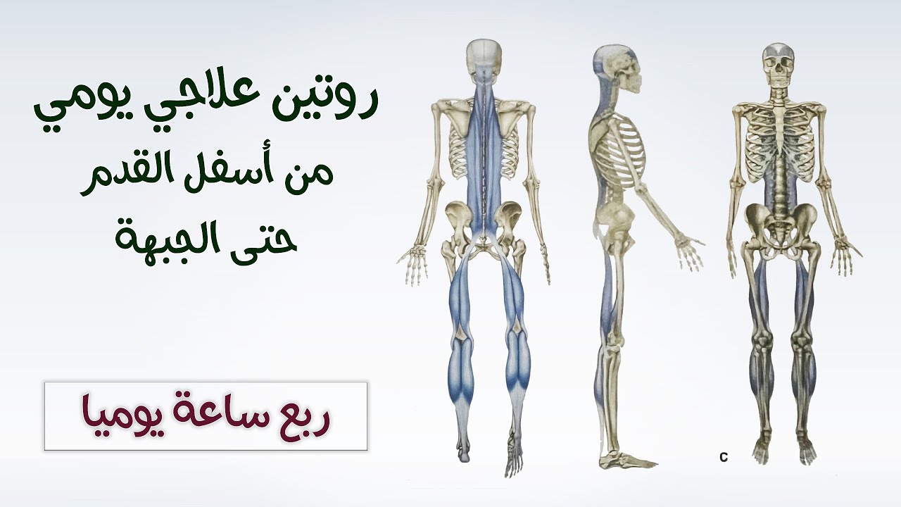 روتين تمارين يومي لتخفيف الآلام الممتدة من القدم إلى مقدمة  الرأس - علاج كامل بربع ساعة يوميا