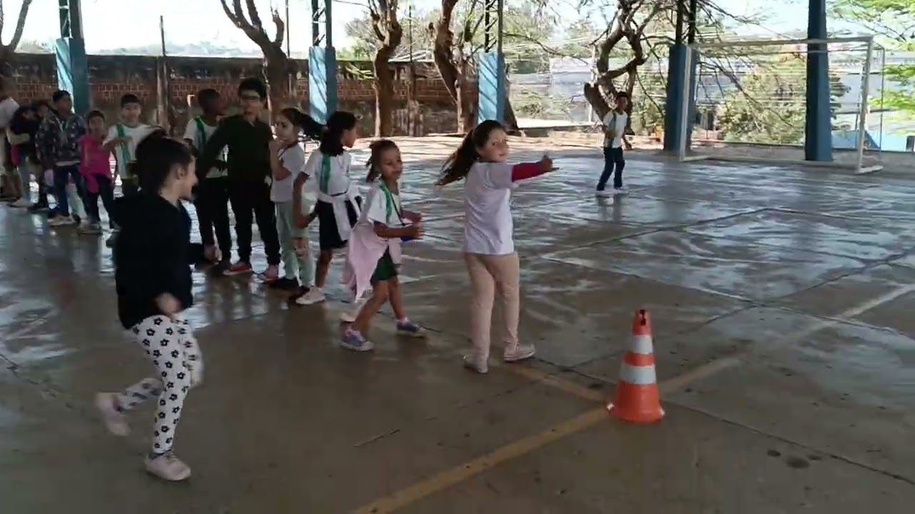 Brincadeiras e jogos; pega pega queimada.