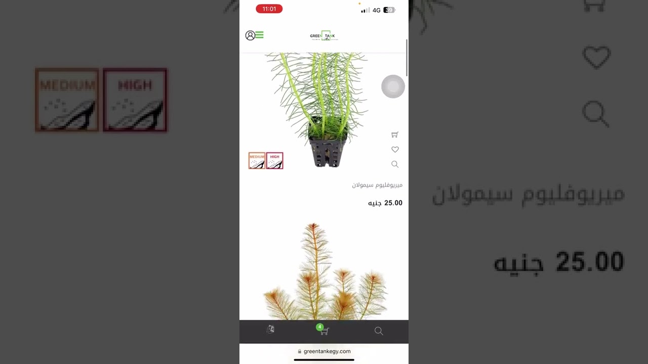 شراء من موقع مزرعة اسلام طه وخصم 50% للقناة