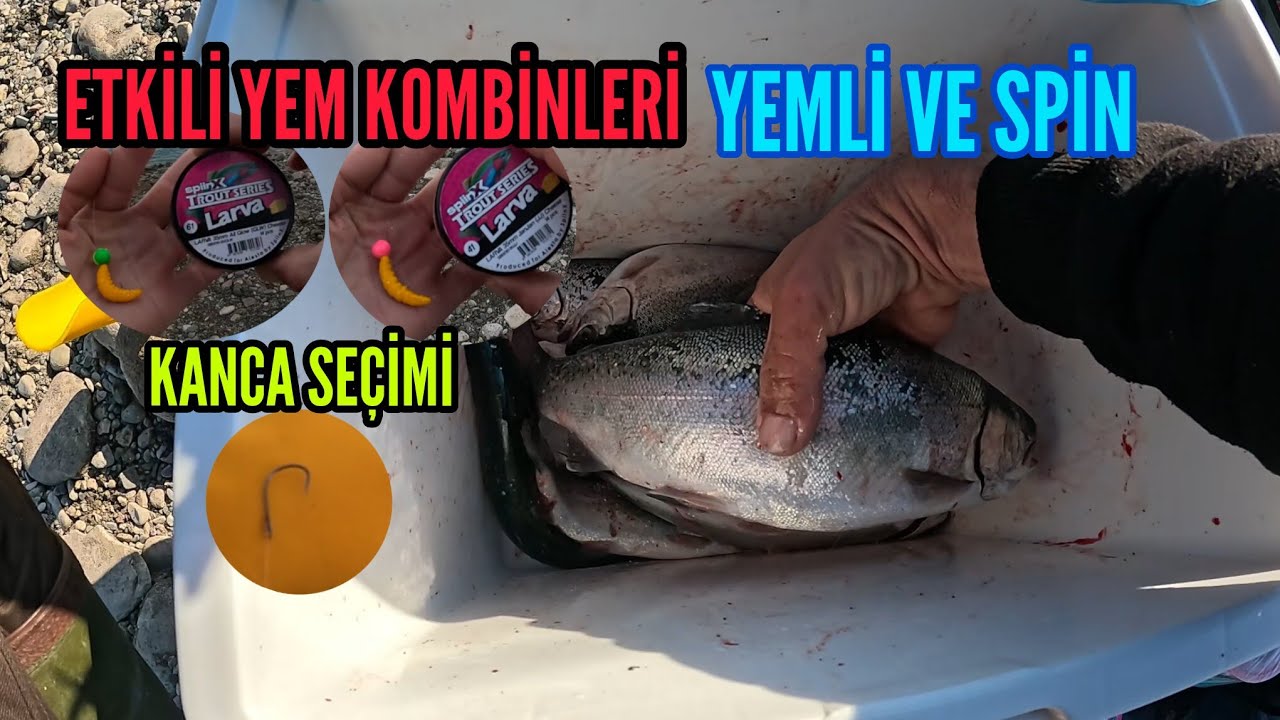 Ловля стальной форели, Ловля радужной форели