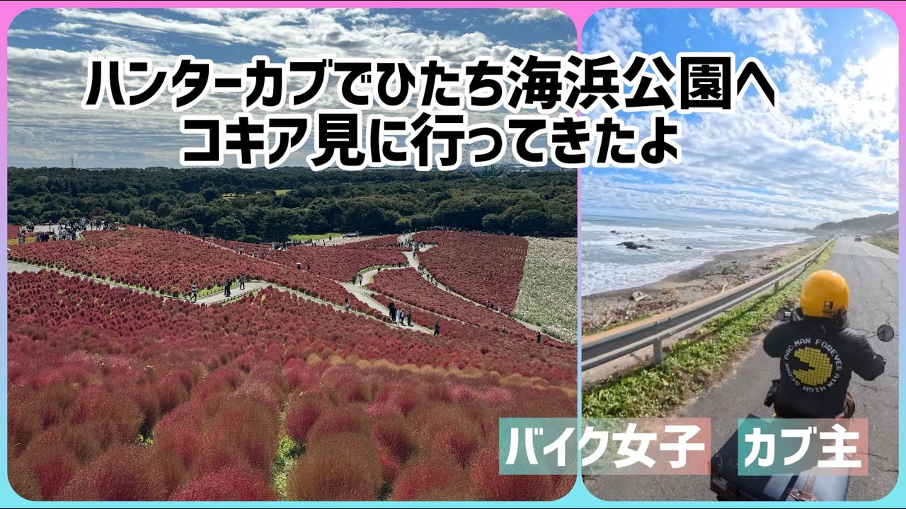 【バイク女子】ハンターカブでひたち海浜公園へコキア【CT125】