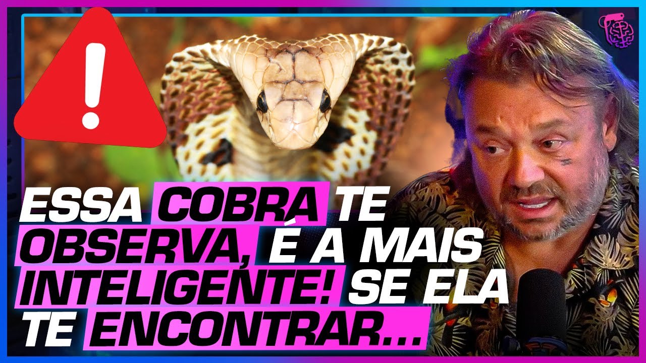 EXPLICANDO o C&Eacute;REBRO de uma COBRA - BI&Oacute;LOGO HENRIQUE e RICHARD RASMUSSEM