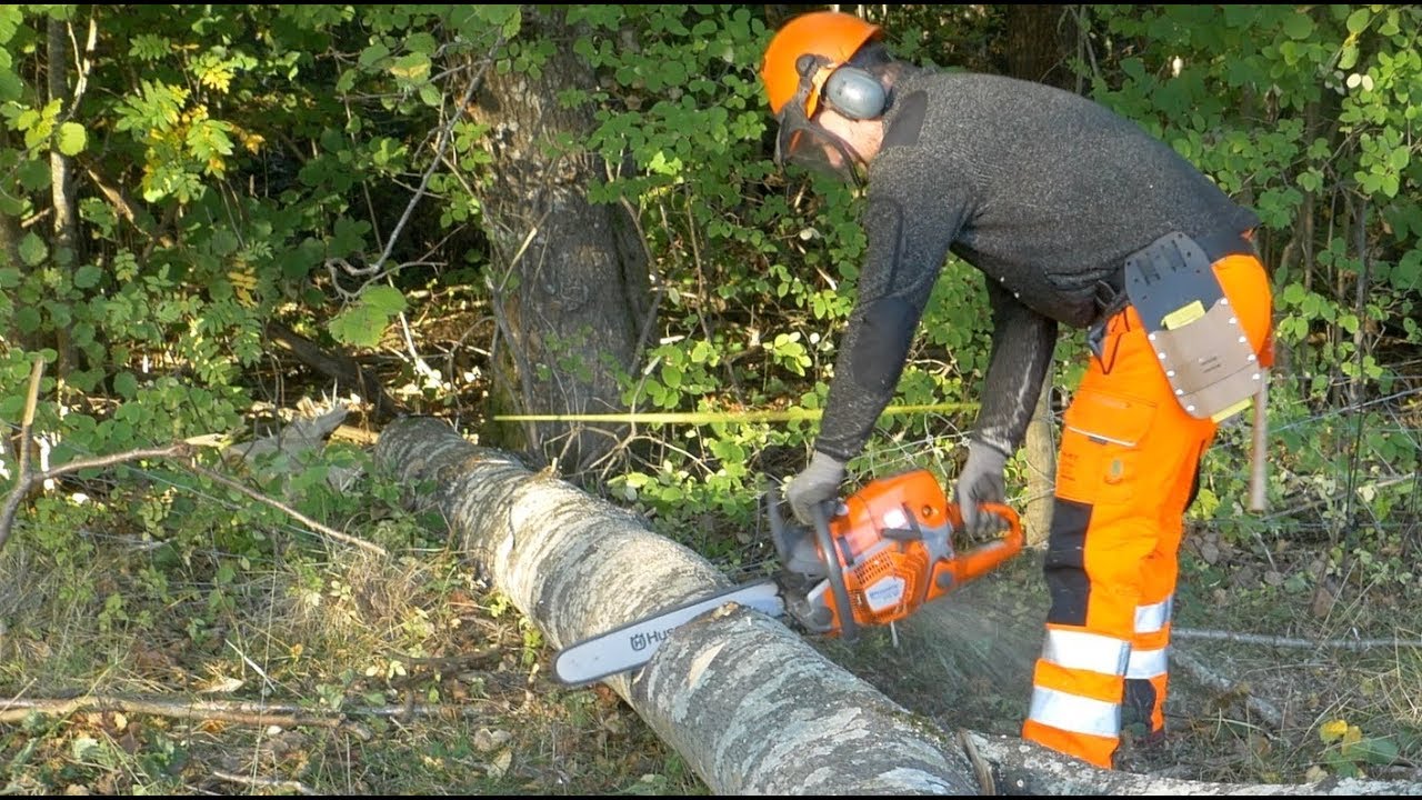 6 months with Husqvarna 572XP: Uncovered Truths
