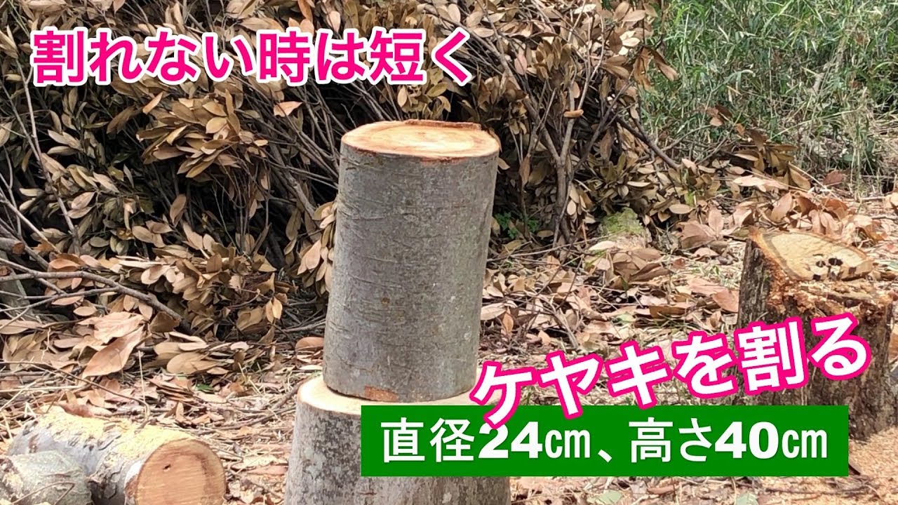 ケヤキの薪割り、割れない時は短くします。　薪割りの部分は早送りしていません、鳥のさえずりが聴こえます。