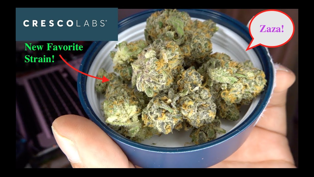 Cresco: *London Pound Mints* Strain Review