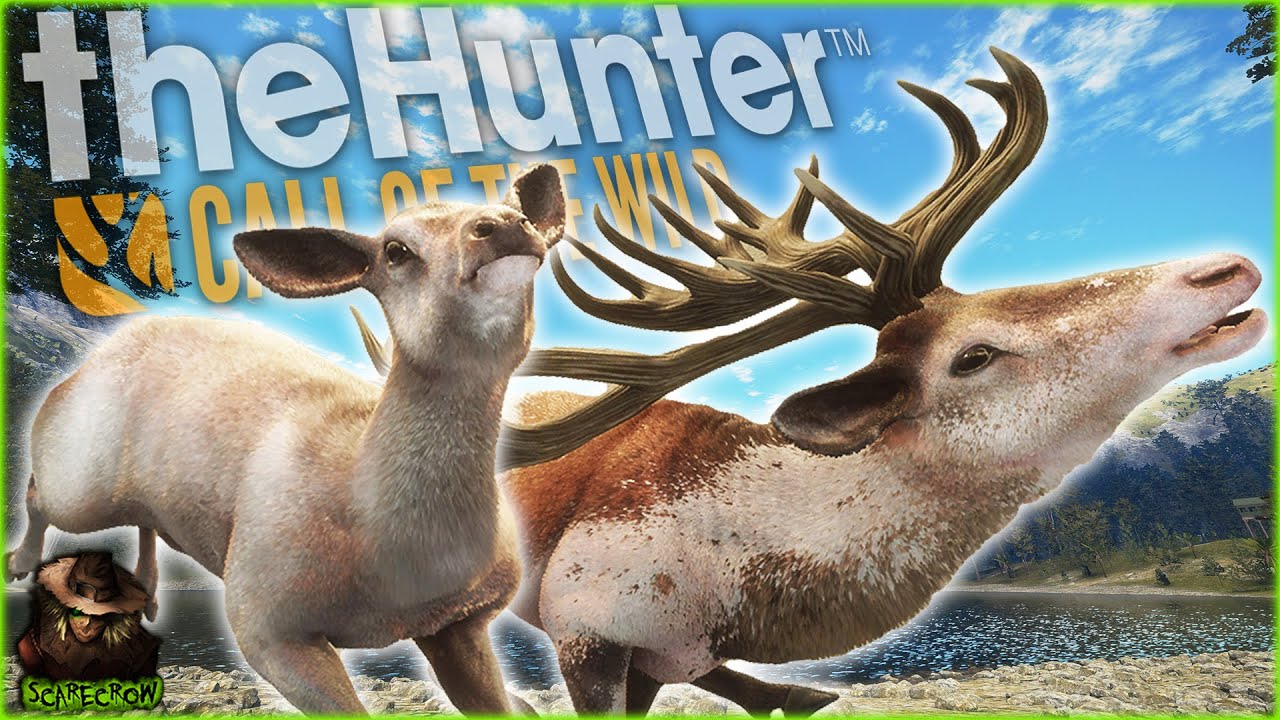 We Got A Leucistic & Piebald Red Deer On The Great One Grind! Call of the wild