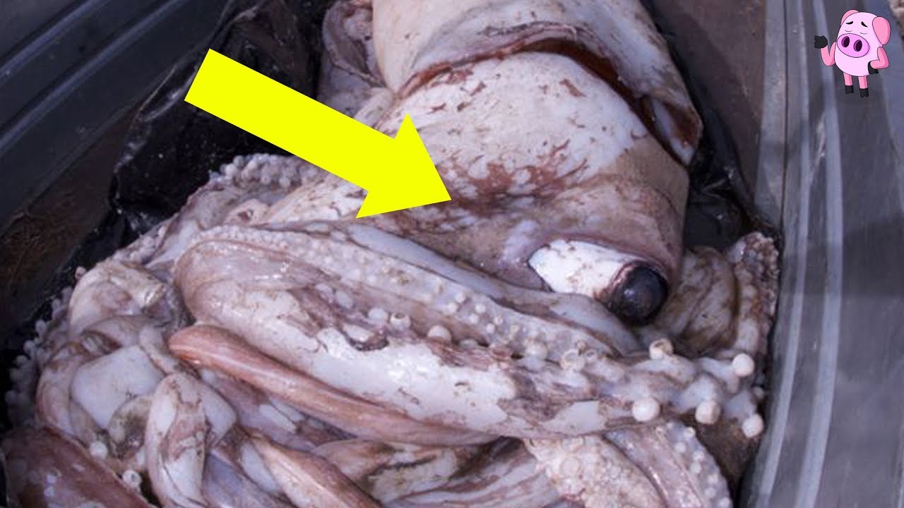 10 Weirdest Things Found Washed Ashore