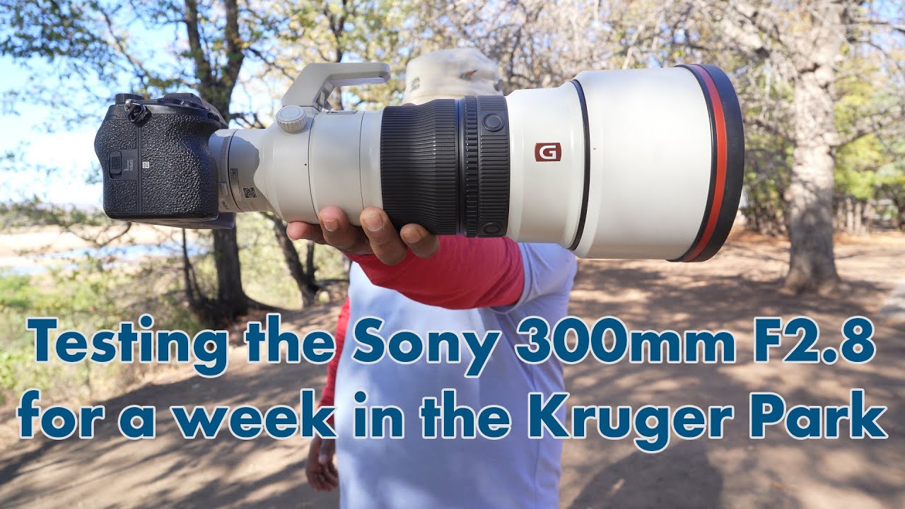 In-depth field test of Sony's 300mm F2.8 lens - A week in the Kruger with the ultimate wildlife lens