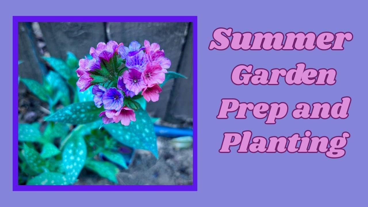 SUMMER GARDEN PREP AND PLANTING