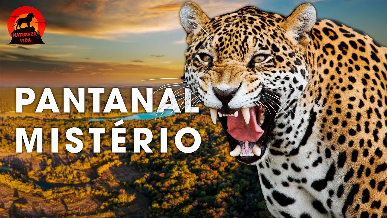 PANTANAL SELVAGEM | Caçadores Implacáveis e a Beleza Natural Intocada | Documentários animais