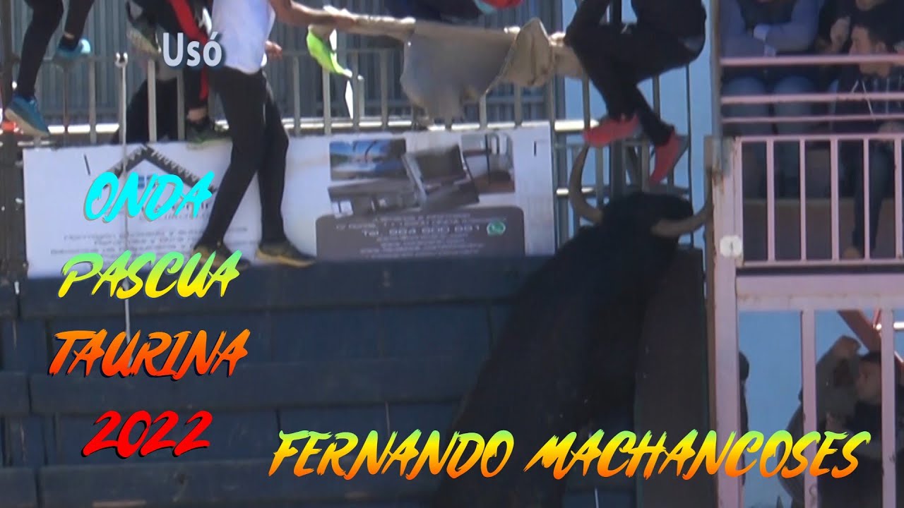 2022 04 24 ONDA PASCUA TAURINA FERNANDO MACHANCOSES