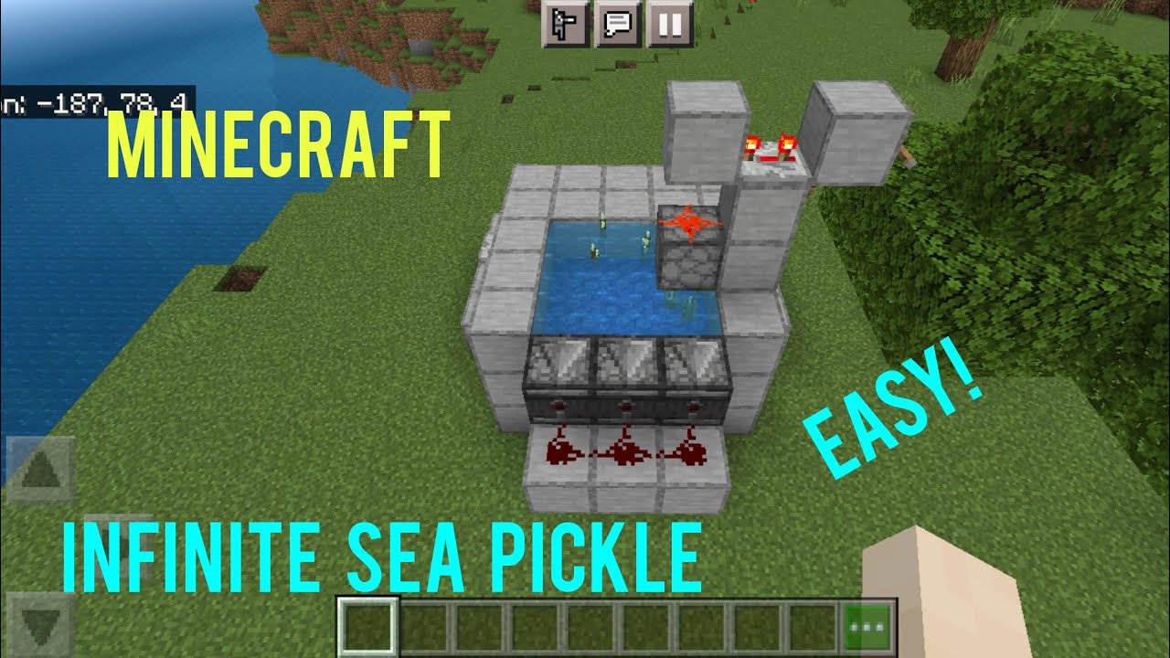 Sea pickle farm in Minecraft. 