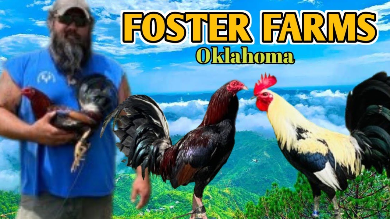 Foster Farms, Oklahoma - Mitch Winters