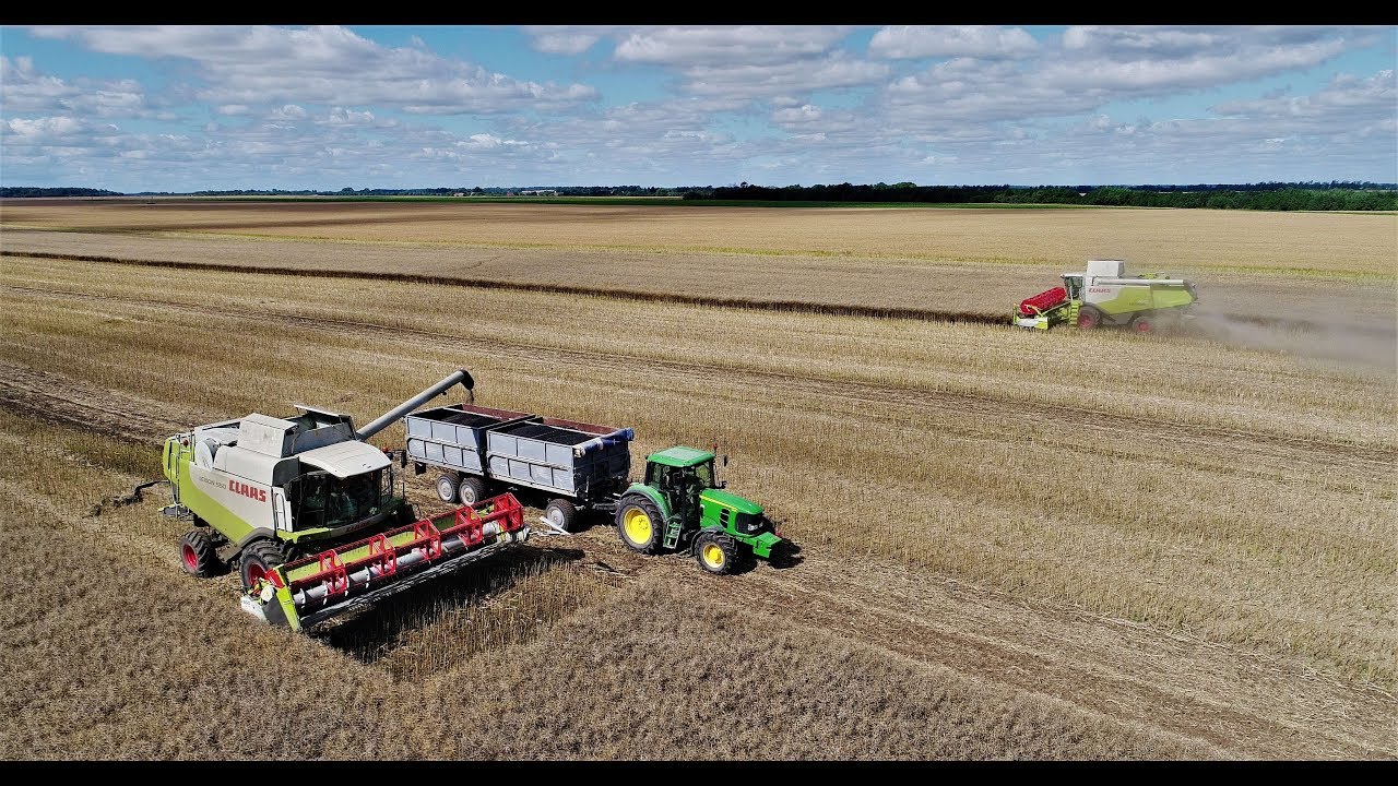 Canola Harvest | Season 2017 [www.plakys.lt]