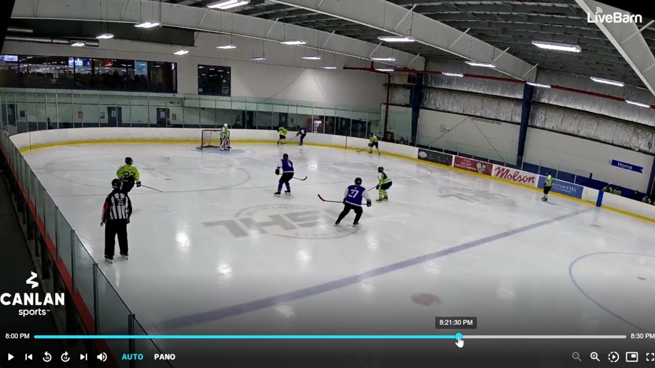 Stop Chasing Behind the Net! - Adult Beginner Hockey Game Review