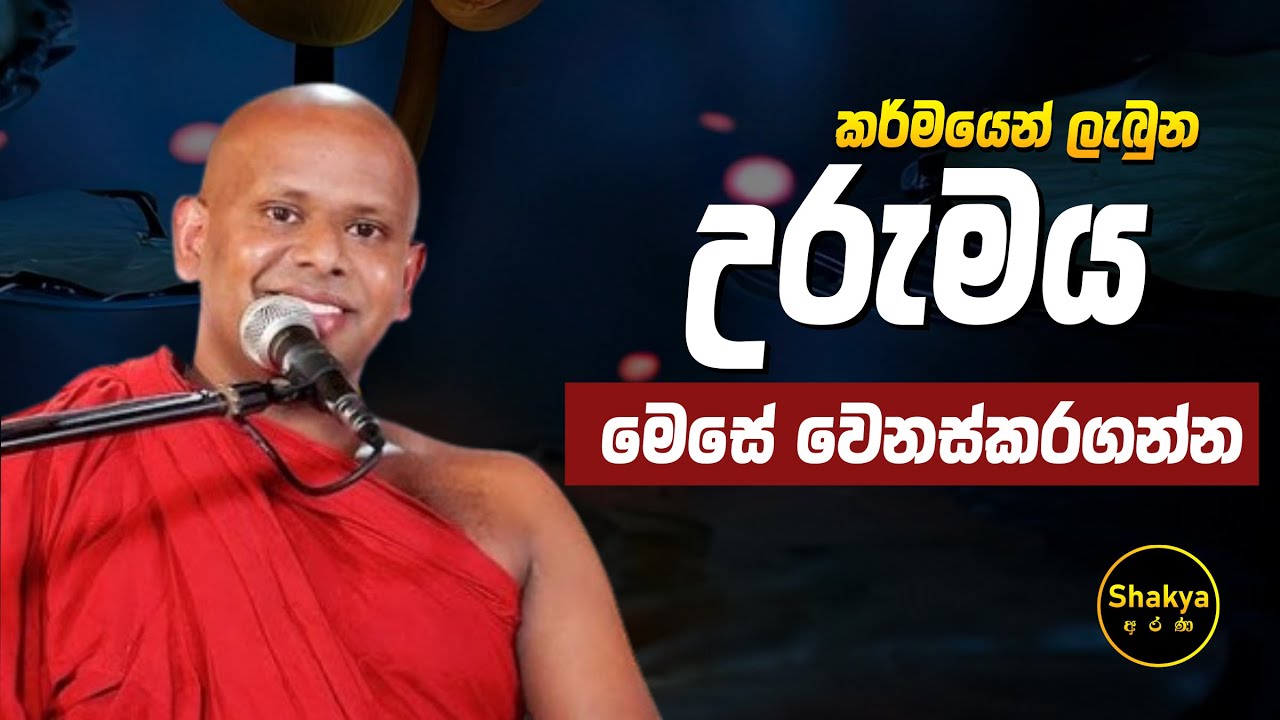 කර්මයෙන් ලැබුන උරුමය මෙසේ වෙනස් කරගන්න | ven. Welimada Saddaseela thero |@shakyaarana