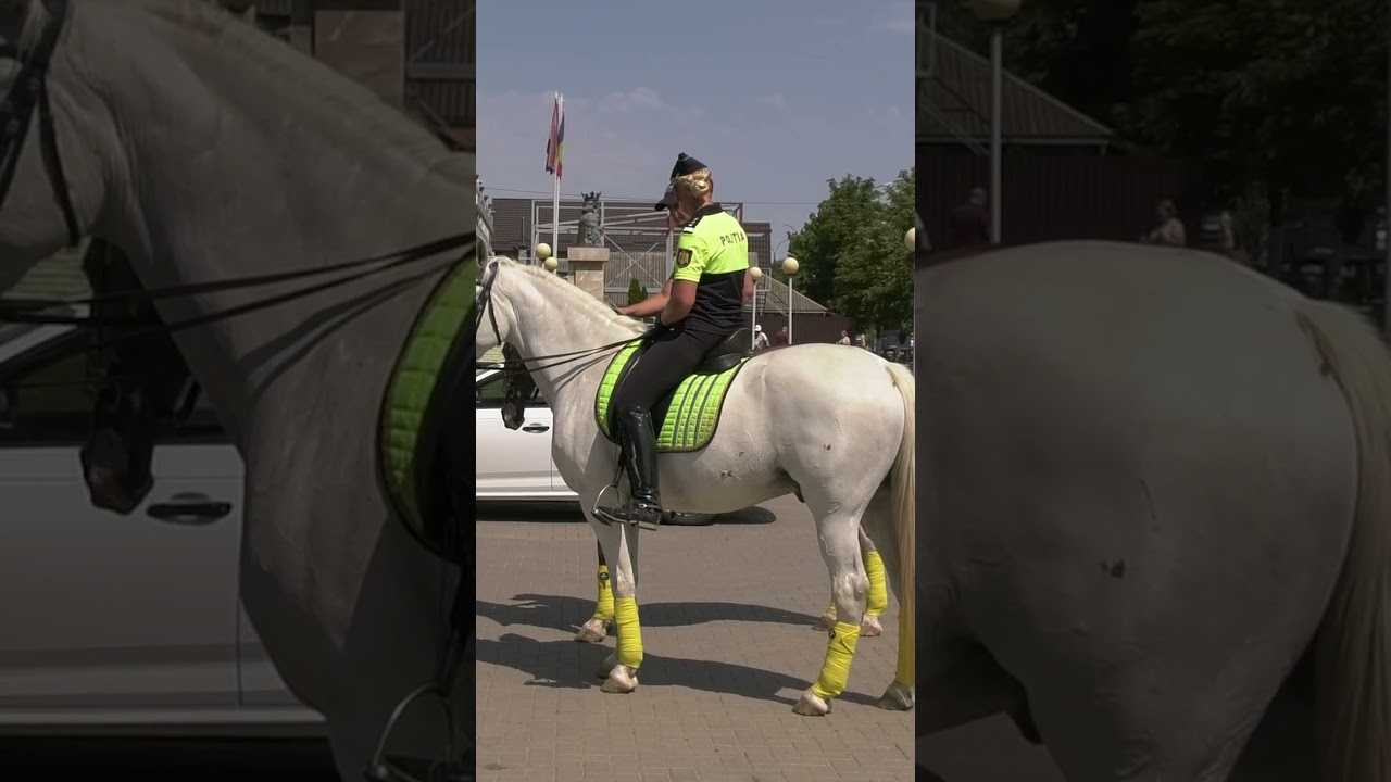 Patrula ecvestră a poliției &ndash; &icirc;n acțiune la Căușeni