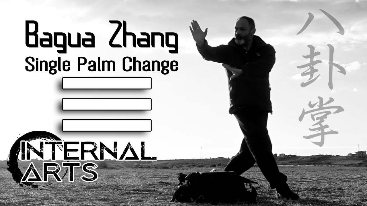 Bagua Zhang. Single Palm Change  - Variations. Μπάγκουα - Πρώτη Αλλαγή