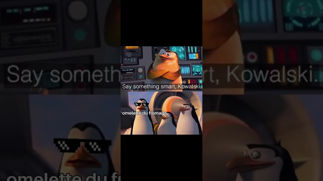 Say something smart, Kowalski #memes