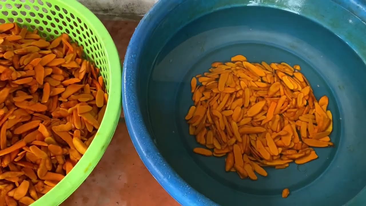 CÁCH SƠ CHẾ NGHỆ - MẬT ONG LÊN MEN NGHỆ