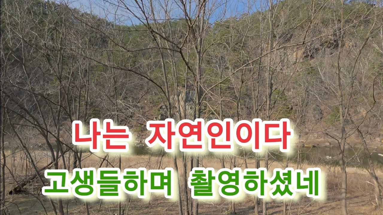 움막자연인 나는자연인 3일고생하고 50만원 출연료? 또 찍자고 또 섭외가 왔다는데.