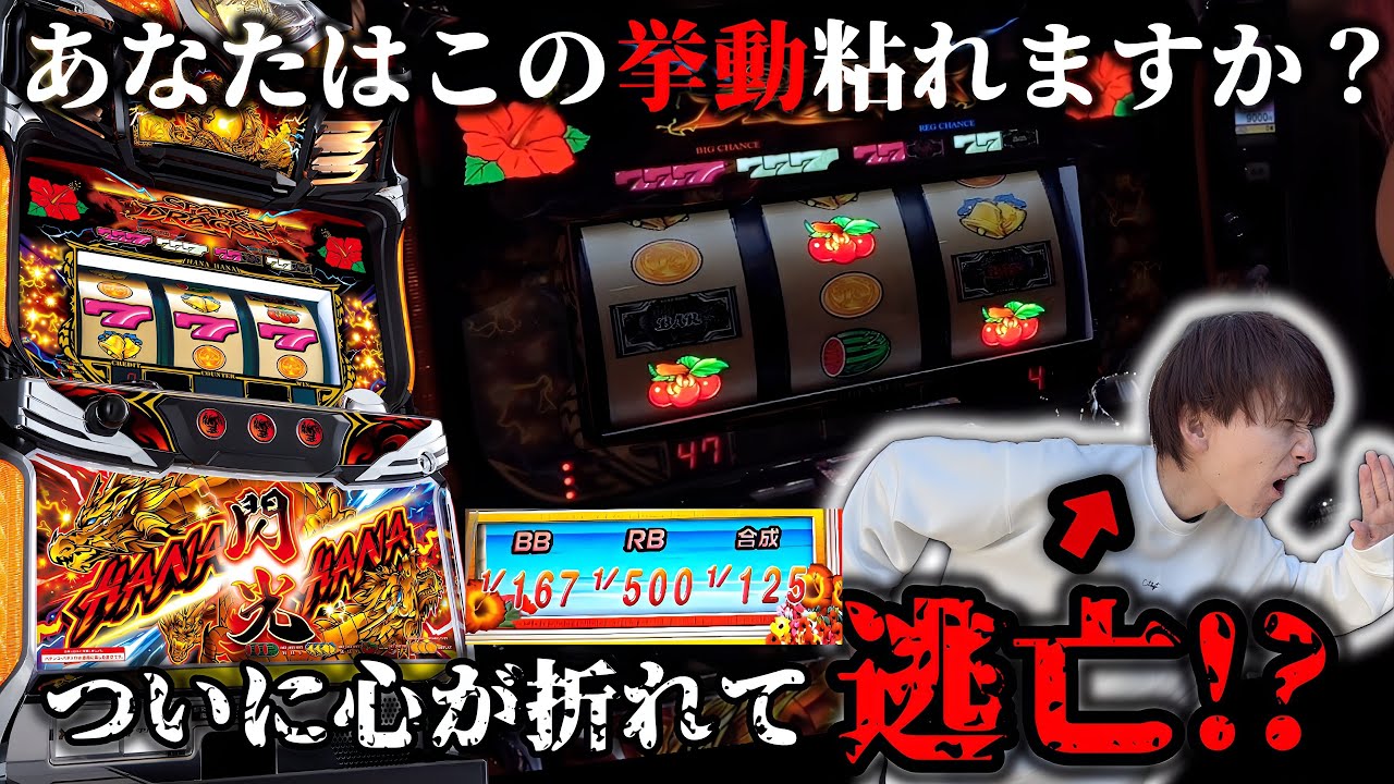 【ドラゴンハナハナ閃光】逃亡！？ついに心が折れた日【スロット】