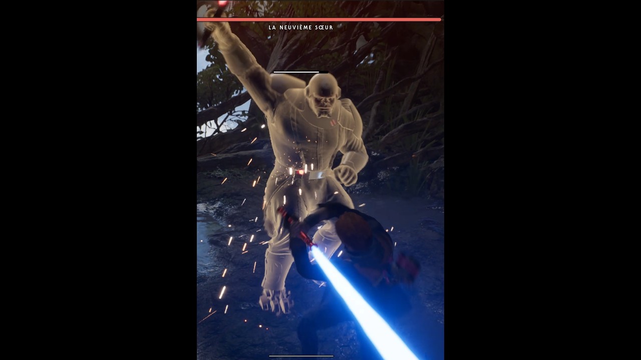 Un combat vraiment dingue !