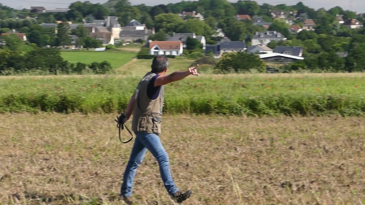Field d'initiation CUCC 14 17 JUILLET 2021 PARCOURS JASEUR du bois des écrivains .