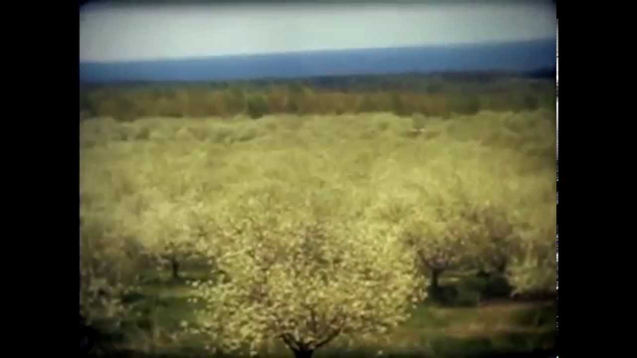 Horseshoe Bay Farm Nostalgia