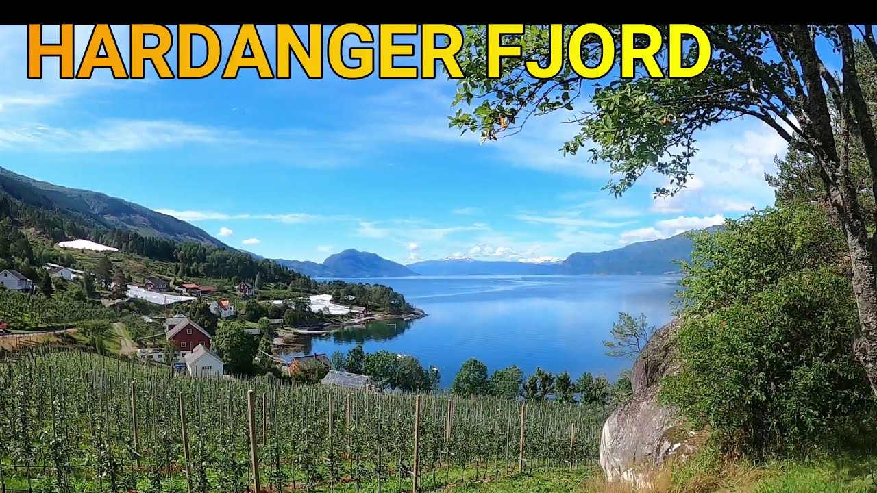 HARDANGER FJORD-FRUIT PRODUCTION IN HARDANGER NORWAY