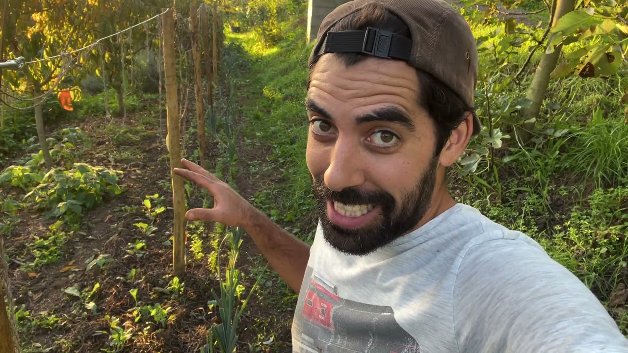 Horta de Outono-Inverno em andamento – Possíveis Soluções com David Vale