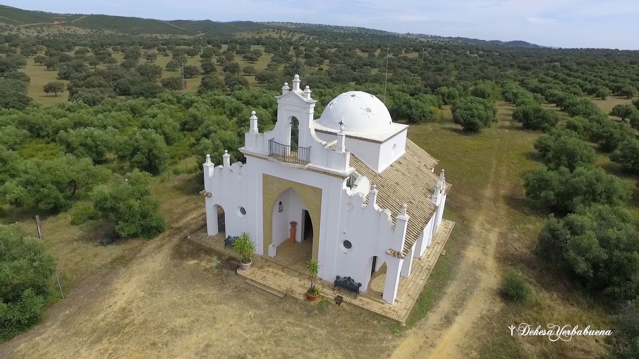 Dehesa YerbaBuena
