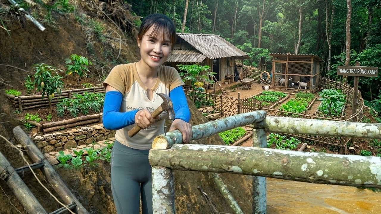 I spent 360 days building a farm in the forest | living a free and self-sufficient life.