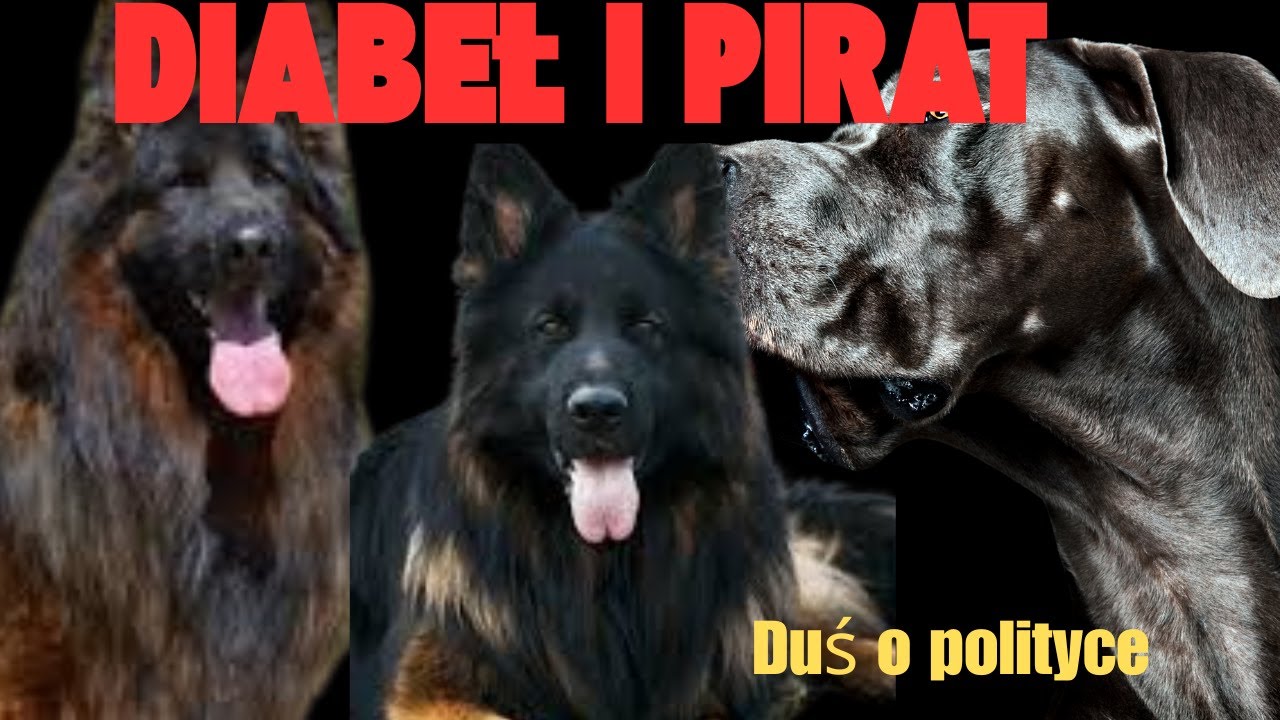 Diabeł i Pirat/Duś o polityce/