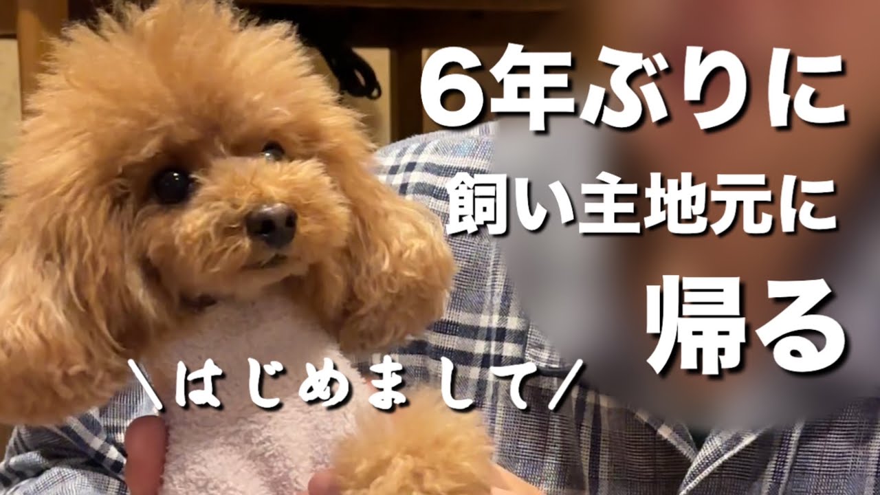 飼い主の地元にそらとくうを連れて帰る