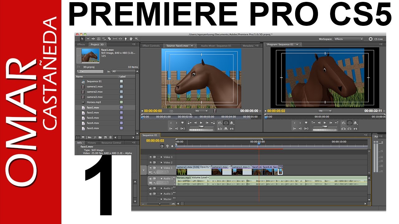ADOBE PREMIERE PRO CS5 TUTORIAL PARTE 1