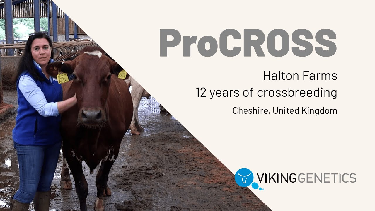Halton Farms - ProCROSS