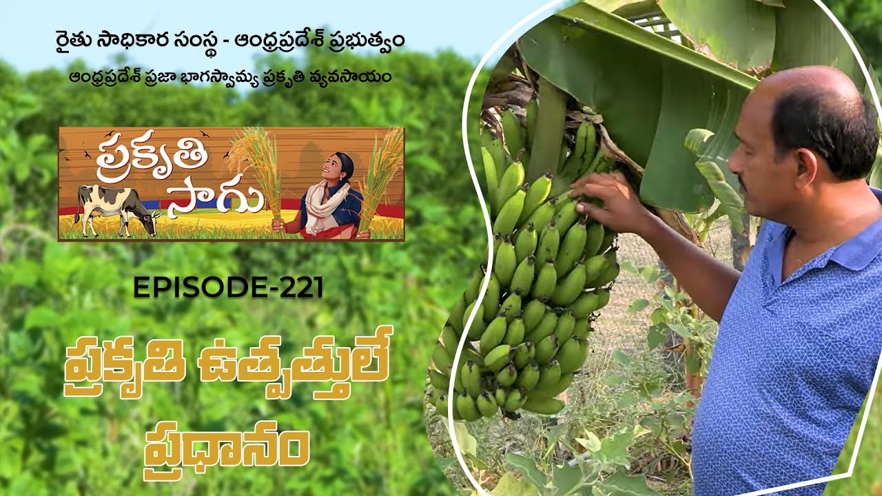 E221 | ప్రకృతి ఉత్పత్తులే ప్రధానం