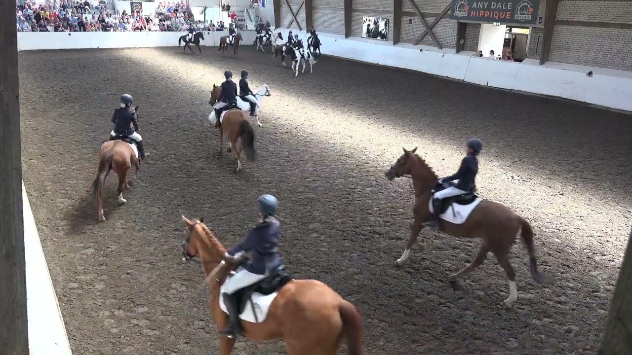 Blijf Gericht Nederlands kampioenschap Carrousel 2025 -   Bleijenberg's Caballitos