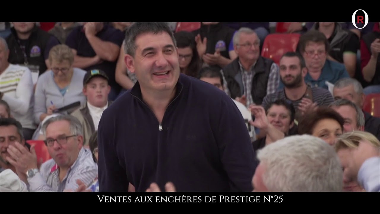 Les Journées Limousines Or Rouge 2018 de CV Plainemaison