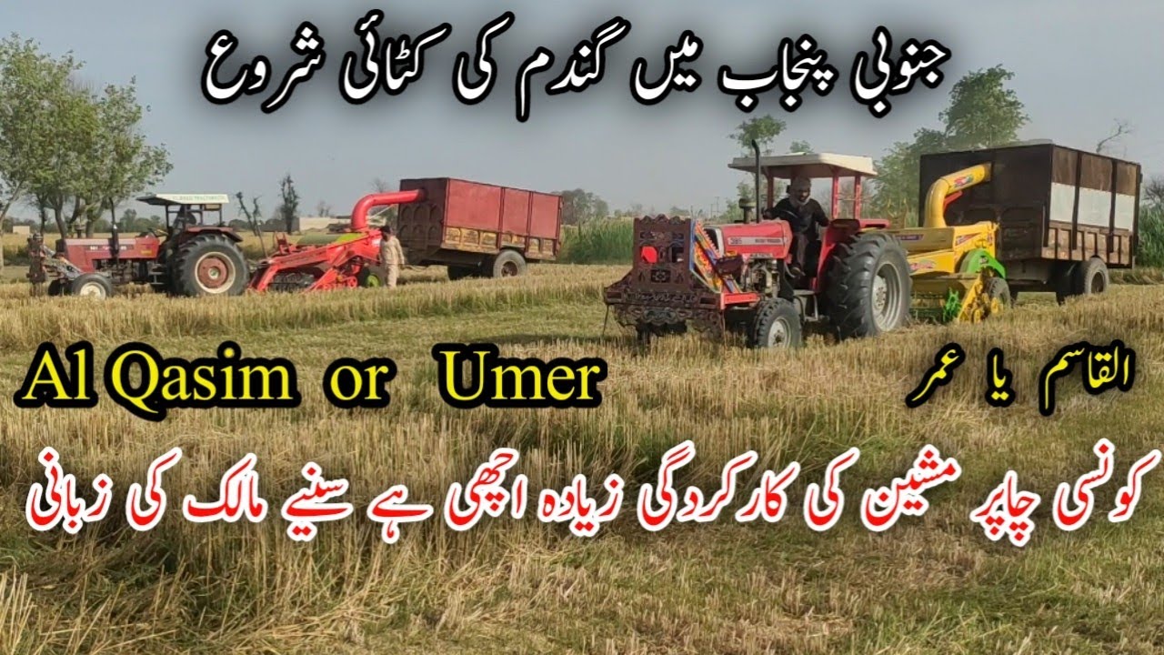 القاسم یا عمر میں کونسی چاپر مشین کی کارکردگی زیادہ اچھی ہے سنیے مالک کی زبانی