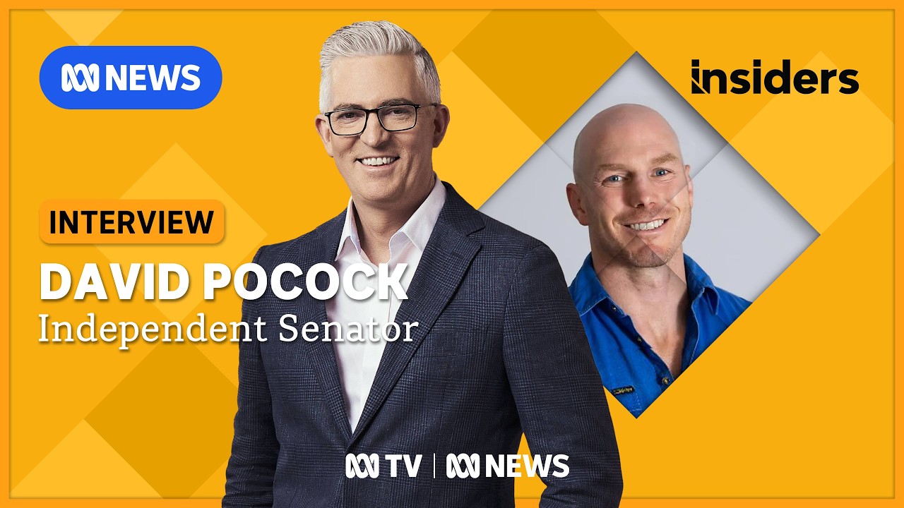 David Pocock on taxing gas exports and independents in parliament | Insiders | ABC NEWS